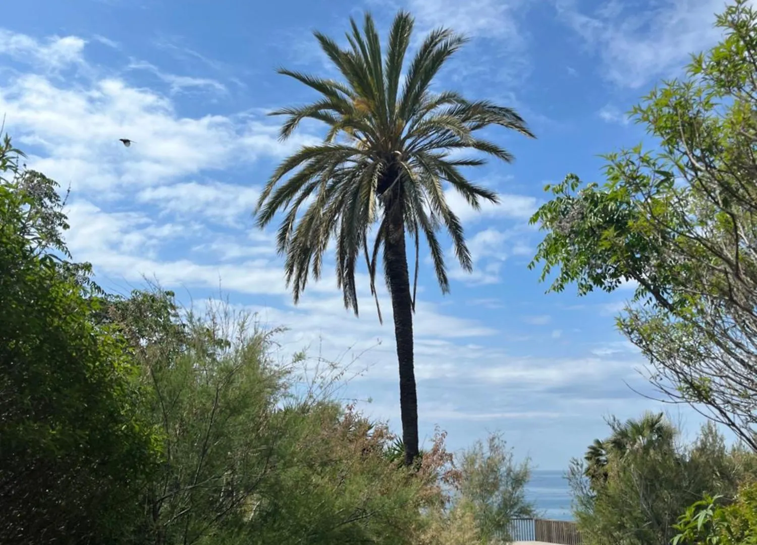 Spacieux Appartement Vue Mer Au Cap Salou